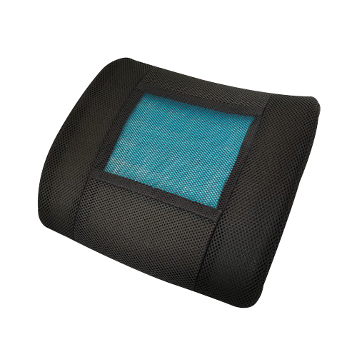 Memory Foam Lumbar Support Ryggpute